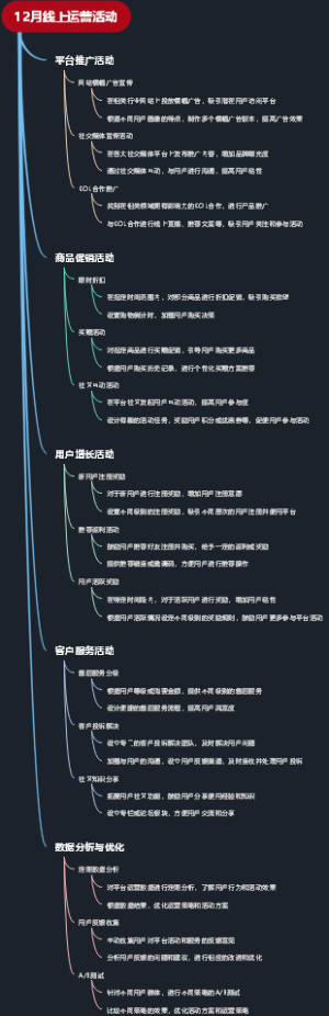 12月线上运营活动