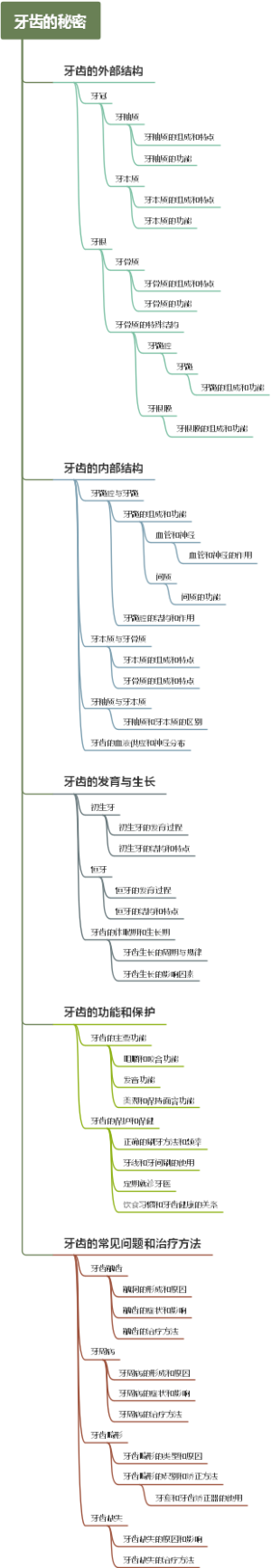 牙齿的秘密