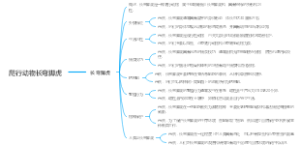 爬行动物长弯脚虎