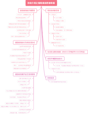 恐龙介绍之祖母暴龙思维导图