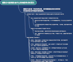 细胞分化的概念是什么有哪些特点和意义