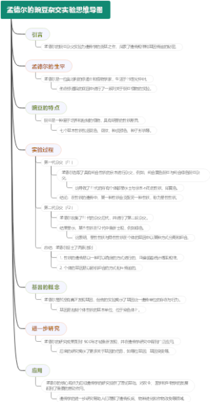 孟德尔的豌豆杂交实验思维导图