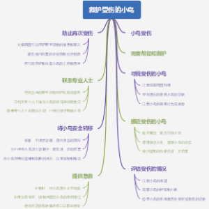 如何学好高一数学课程