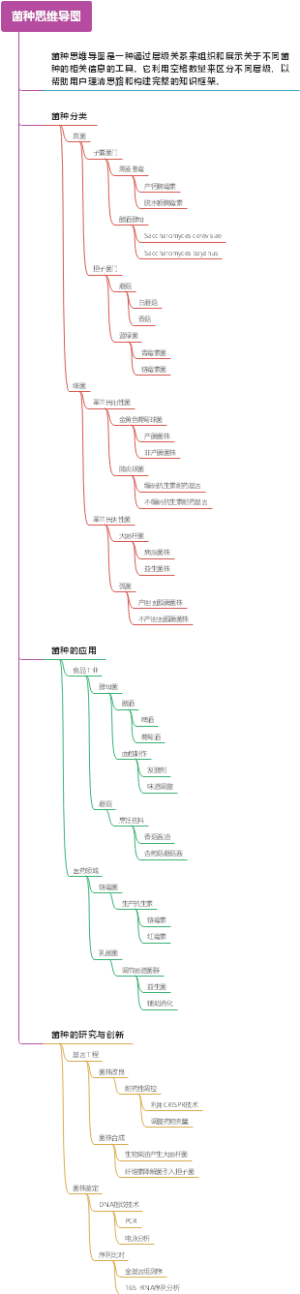 菌种思维导图