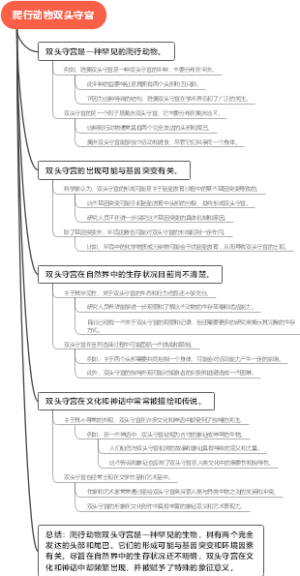 爬行动物双头守宫