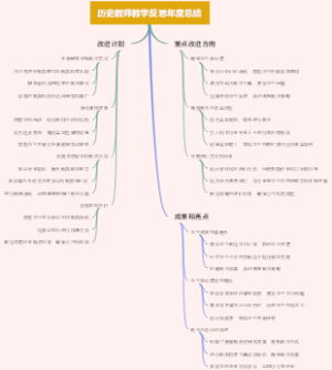 历史教师教学反思年度总结