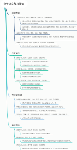 中考语文复习策略