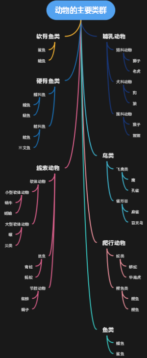 动物的主要类群