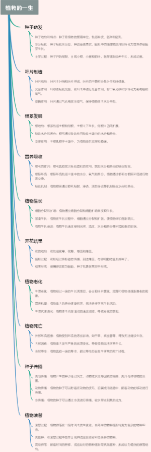 植物的一生