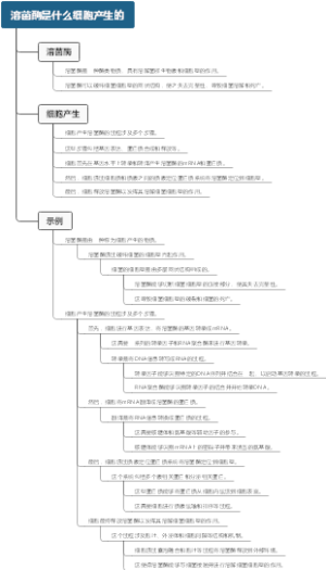 溶菌酶是什么细胞产生的