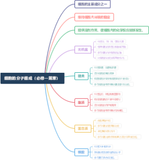 细胞的分子组成（必修一第章）