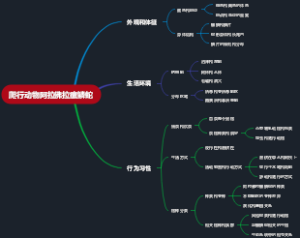 爬行动物阿拉佛拉瘰鳞蛇