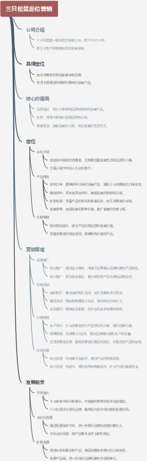 三只松鼠定位营销