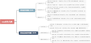 sop分为几类