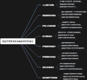 我国护理事业发展面临的形势概述