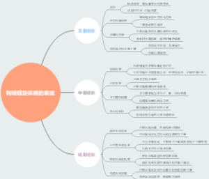 钩端螺旋体病的表现