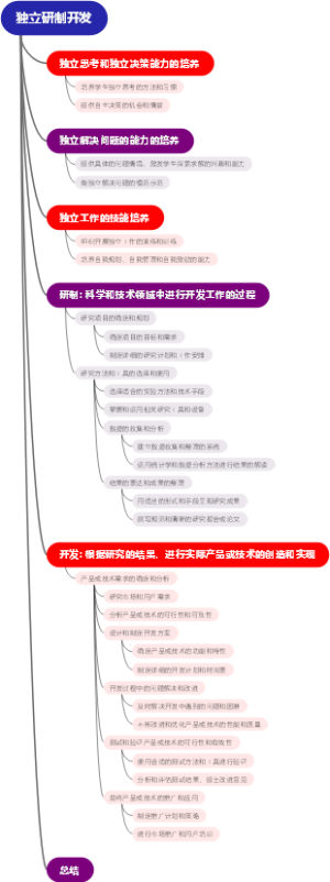 独立研制开发