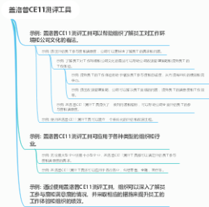 盖洛普CE11测评工具
