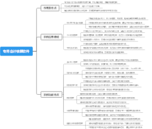 专用会计核算软件