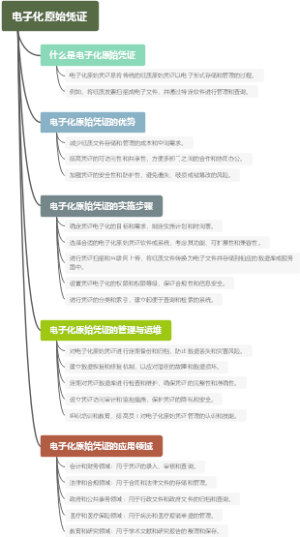 电子化原始凭证