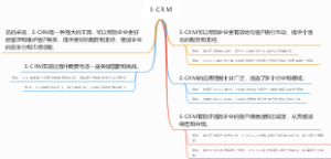 E-CRM