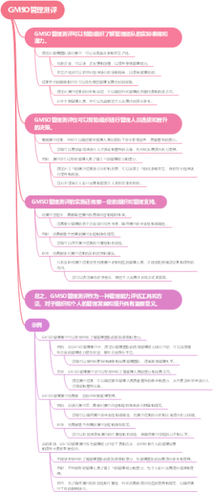 GMSO管理测评