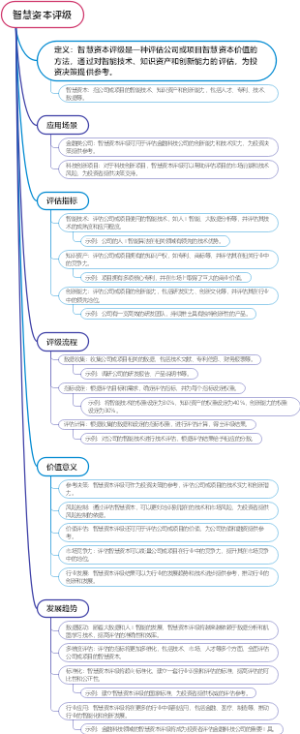 智慧资本评级