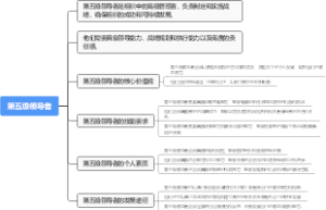 第五级领导者