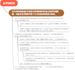 合并净利润