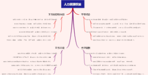 人力资源权益