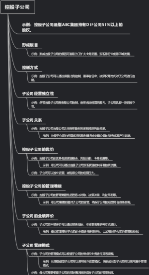 控股子公司