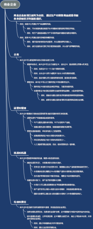 商业企业