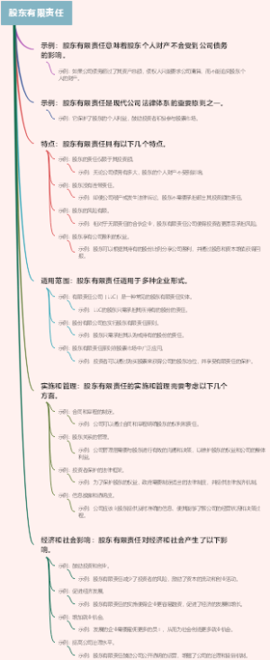 股东有限责任