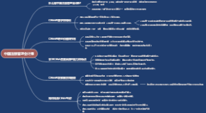 中国注册管理会计师