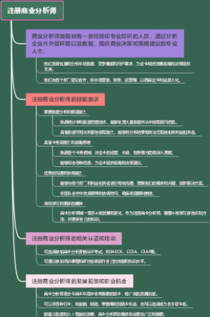 注册商业分析师