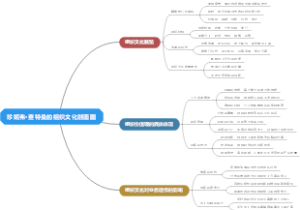 珍妮弗·查特曼的组织文化剖面图