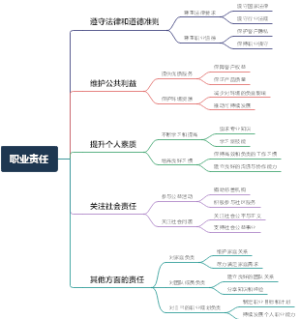 职业责任