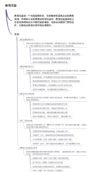 商务总监