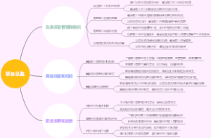 项目总监