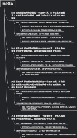 财务总监