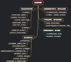 职业停滞