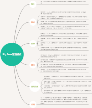 Big Boss管理模式