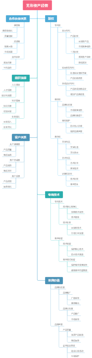 无形资产经营