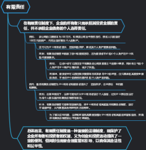 有限责任
