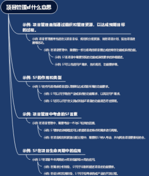项目管理sf什么意思