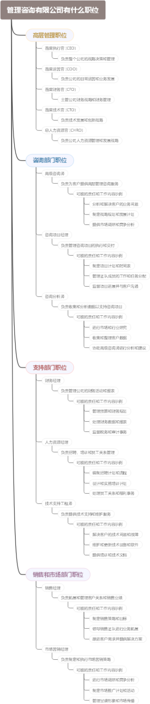 管理咨询有限公司有什么职位