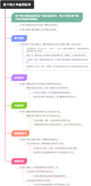 单个媒介战略的运用