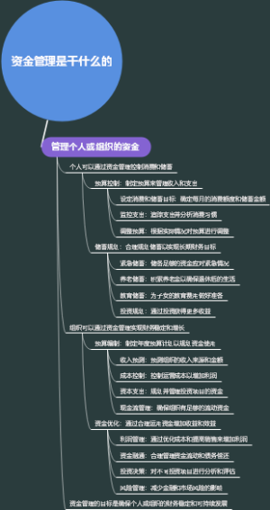 资金管理是干什么的