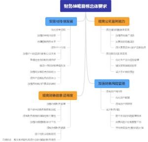 财务战略目标总体要求