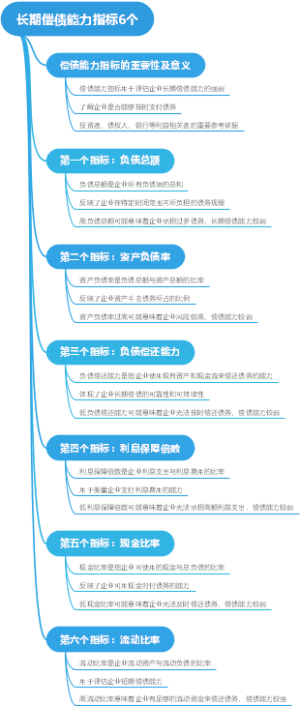 长期偿债能力指标6个